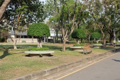 Lumphini Park - Bangkok