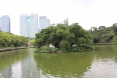 Botanischer Garten Wasserfontäne 00