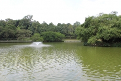 Botanischer Garten Wasserfontäne