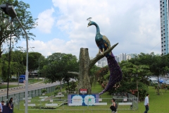 Hop-On Hop-Off Bus Singapur 02