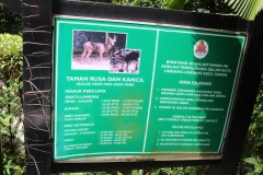 Kuala Lumpur Deer Park 01