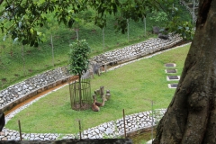 Kuala Lumpur Deer Park 02
