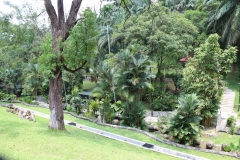 Kuala Lumpur Deer Park 04