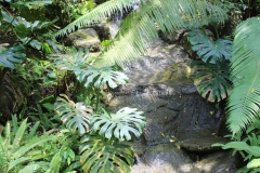 Kuala Lumpur Deer Park 05