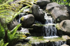 Kuala Lumpur Deer Park 06