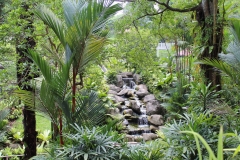 Kuala Lumpur Deer Park 08
