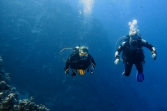 Sharm El Naga - Tauchen 01