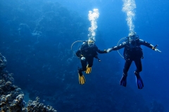 Sharm El Naga - Tauchen 03