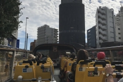 Tokio - Hop-on Hop-off Bus (offenes Oberdeck)