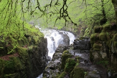 Wasserfälle der Einsiedelei - Dunkeld - Highlands