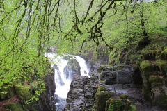 Wasserfälle der Einsiedelei - Dunkeld - Highlands