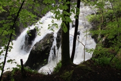 Wasserfälle der Einsiedelei - Dunkeld - Highlands