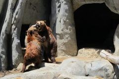 San Diego Zoo