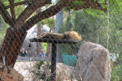 San Diego Zoo