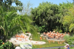 San Diego Zoo
