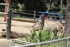 San Diego Zoo