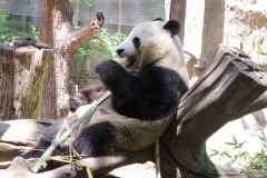 San Diego Zoo