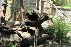 San Diego Zoo