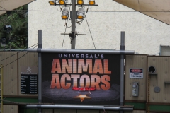 Universal’s Animal Actors