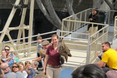 Universal’s Animal Actors