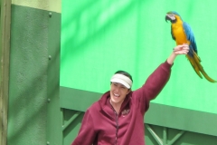Universal’s Animal Actors