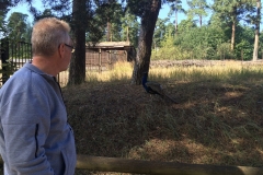 Zoo Riga