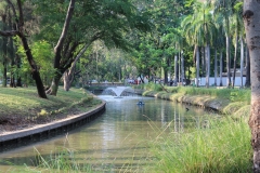 Lumphini Park - Bangkok