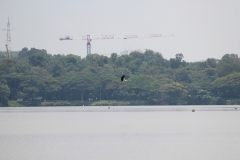 Bootsfahrt 06
