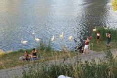Donauinselfest 2017 - 003