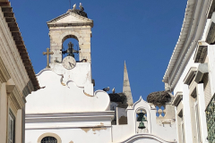 Faro_006
