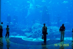 Aquarium Dubai