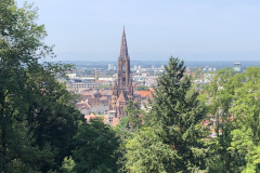 Freiburg_003-Freiburger-Muenster