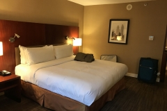 Hilton Toronto Zimmer 01