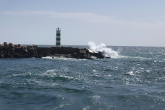 Hop-on-Hop-off-Faro_007