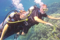 Tauchen im Roten Meer 03