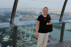 Sands Skypark Observation Deck 03
