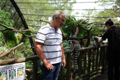 Singapur Zoo 12