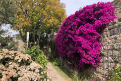 Tavira_004
