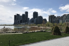 Toronto - Sonne 03
