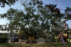 Wat Benchamabophit - Impressionen 04