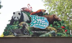 River Safari - Singapur Zoo