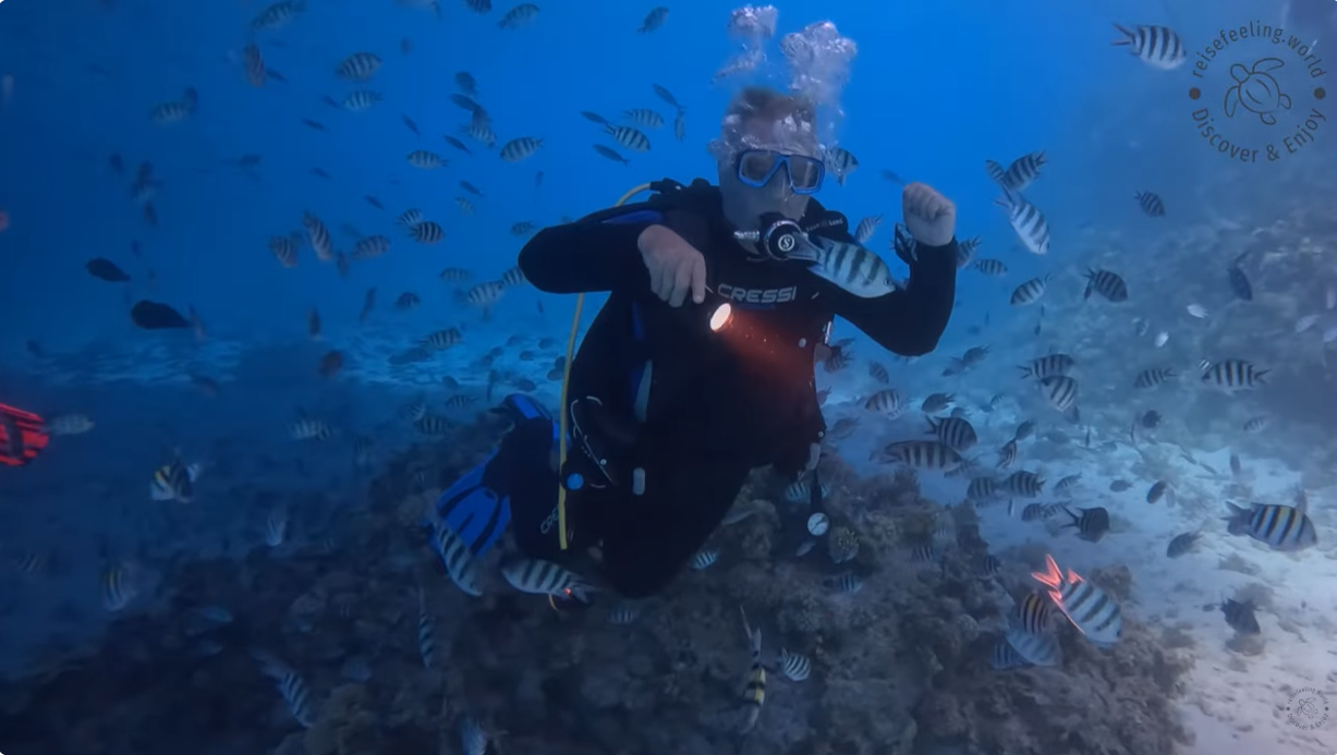Talata Fish Aruk Talata – Tauchen Hurghada - Reisefeeling.world
